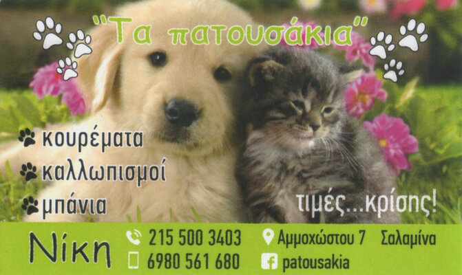 card-141